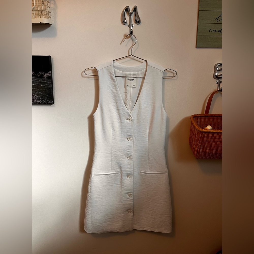 Abercrombie and Fitch Vest Button Up Dress